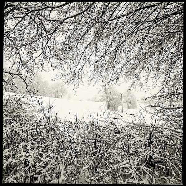 Mon Monde Ouvert Sur Le Monde - My World Open To The World by Herv&eacute; Schmelzle