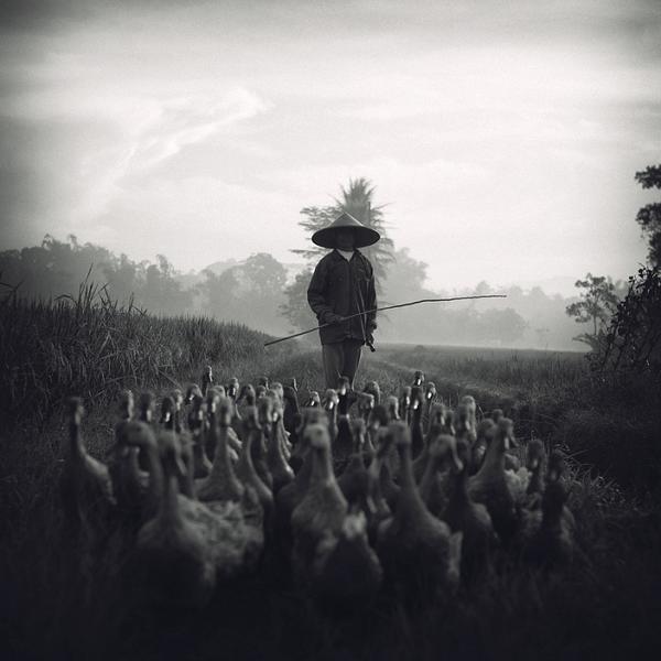 Conductor by Tommy Cavarela