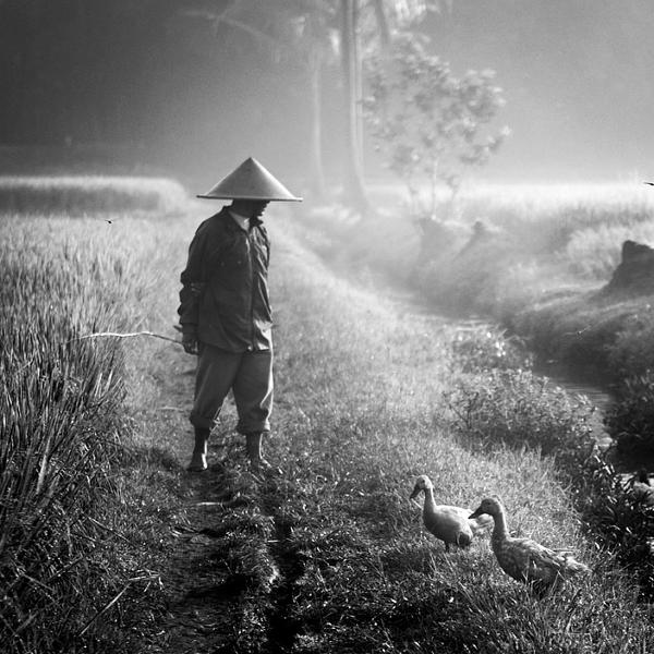 Come On Boy by Tommy Cavarela