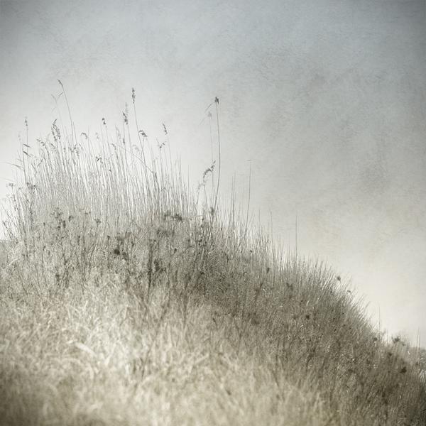 Soft Spring Senses by Gittan Beheydt