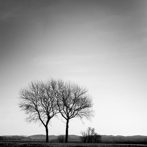 Two Of A Kind And A Little One by Gittan Beheydt