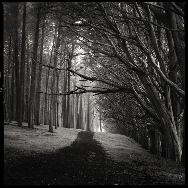 Sleepy Hollow - I I by S (maxx) Landeros