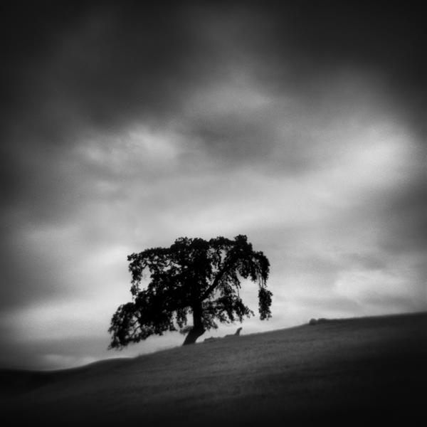 Sadness Comes Home by S (maxx) Landeros