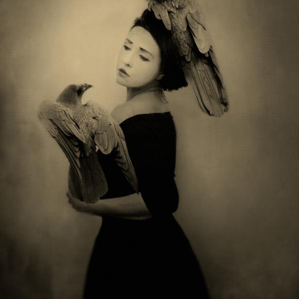 what blackbirds said by Marta Orlowska