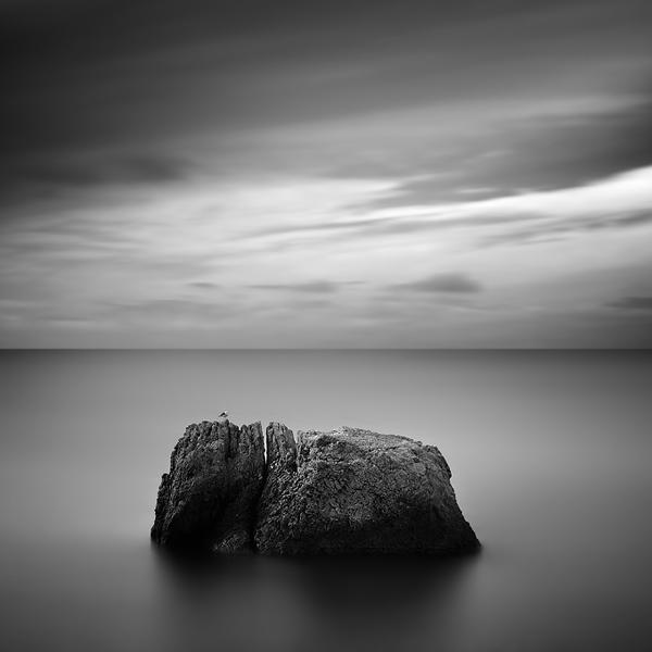 The Lonely Land by Yury Bird