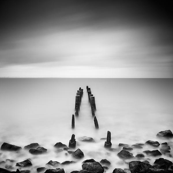 Remains by Yury Bird