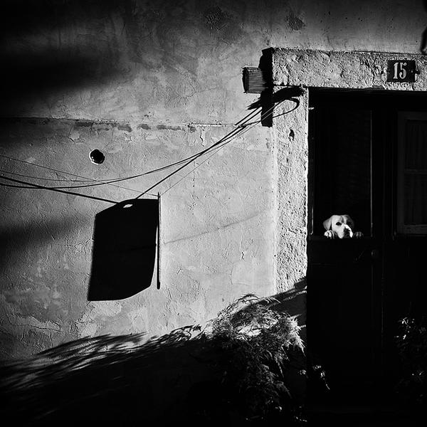 Home Alone by Mirela Momanu