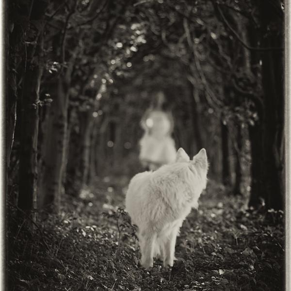Little White by Rafael Scheidle