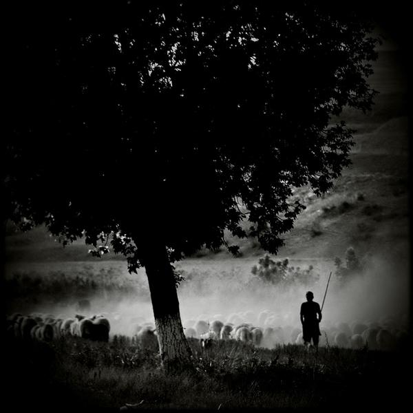 Far Away 2 by Alexandru Crisan