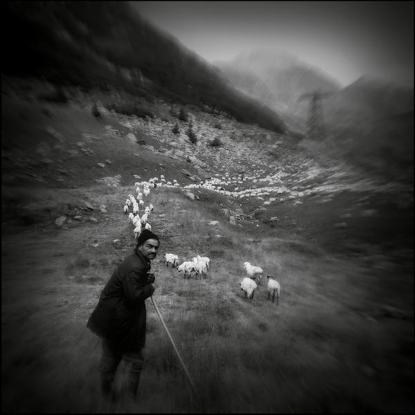 timeless by Alexandru Crisan