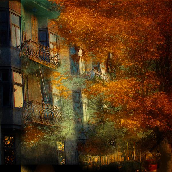 With Trace Of Scars by Mia De Fleur