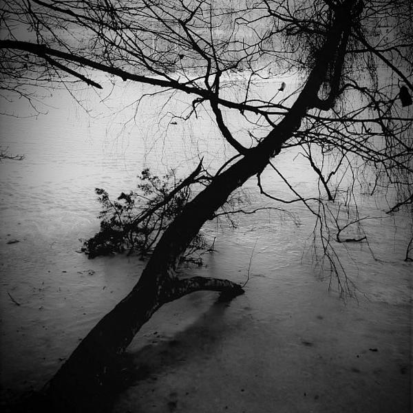 Lac by Sonia Giraud