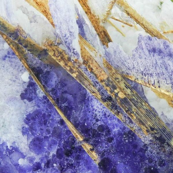 Frozen Painting 3 by Marie Armi
