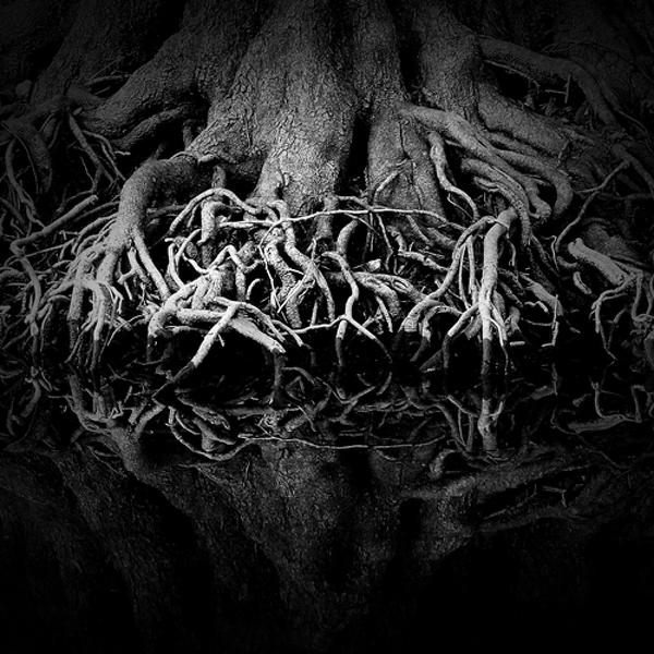 Strangulation by Florian Schmidt