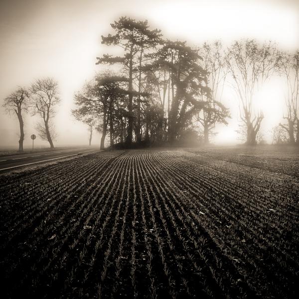 Paysage Vers Chauvry by R&eacute;mi Bridot