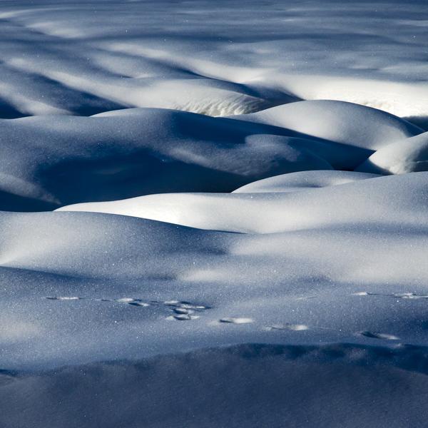Neige Et Traces par R&eacute;mi Bridot
