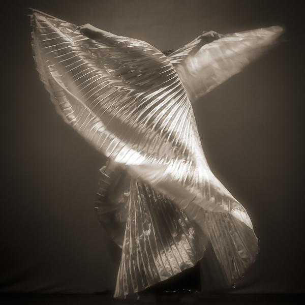 Les Ailes D'isis by R&eacute;mi Bridot