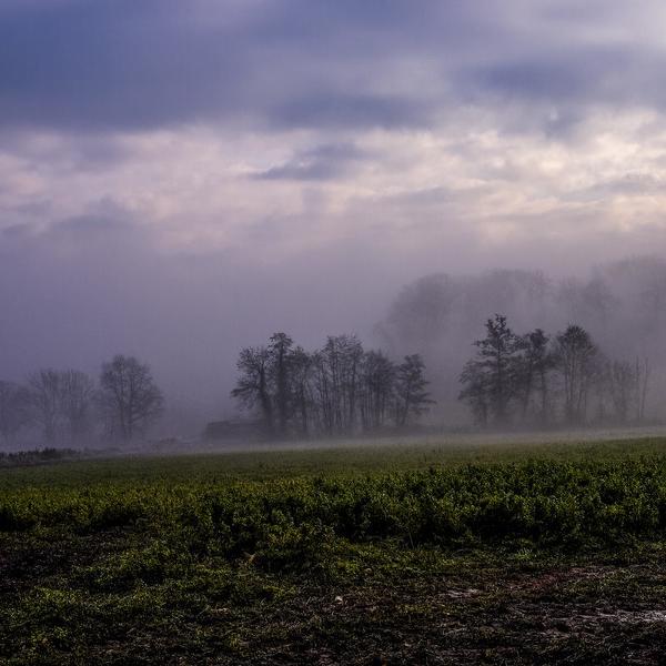 Paysage Brumeux Vers Chauvry by R&eacute;mi Bridot