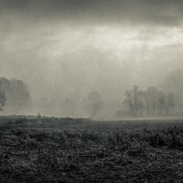 Paysage Brumeux Vers Chauvry by Rémi Bridot