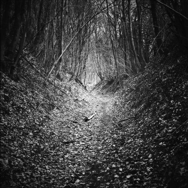 Le Chemin by Fabienne Collard