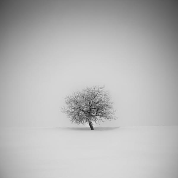 Winter Ore Mountains III by Daniel řeřicha