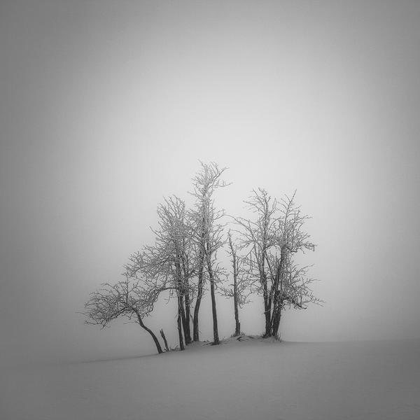 Brothers by Martin Rak