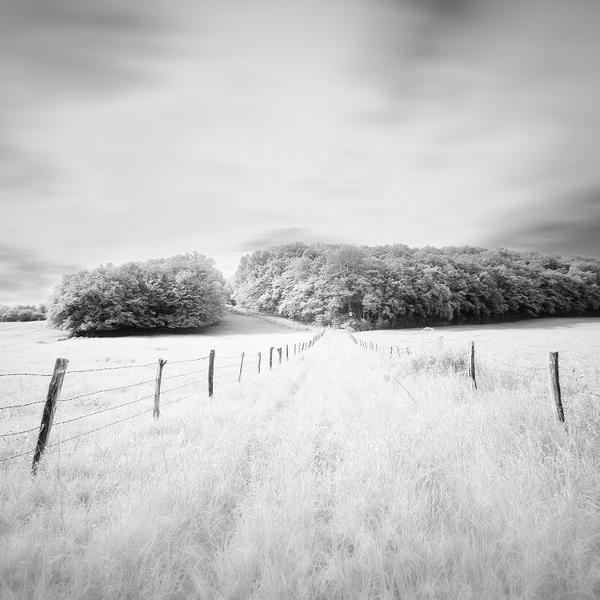Dream Story by Alain Baumgarten
