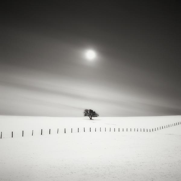 Duetting by Alain Baumgarten