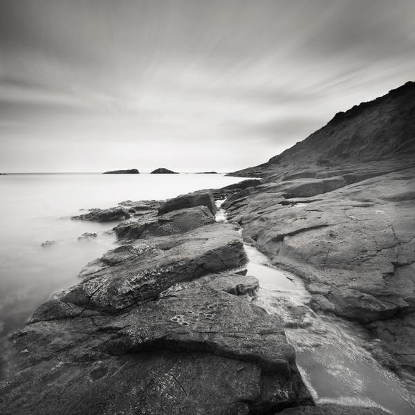 F O L L O W M E by Fabrizio Tedde