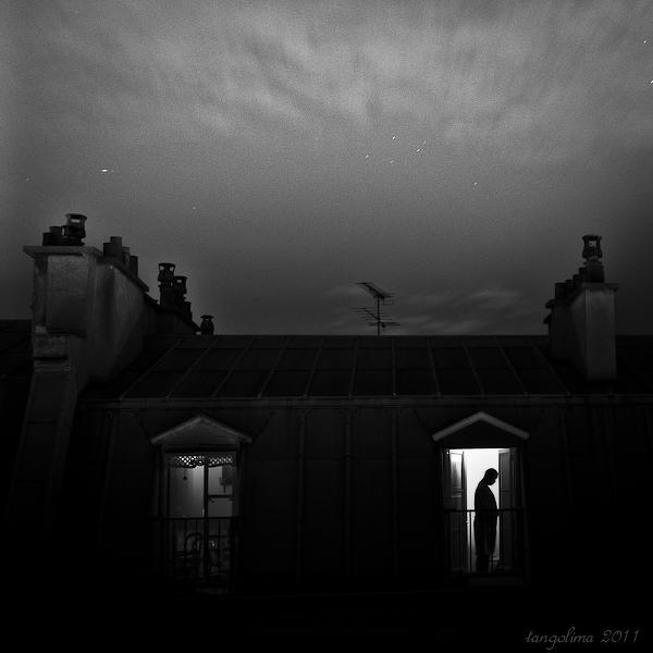 Toit De Paris (5) - Paris Roof (5) by Tran Trong Long