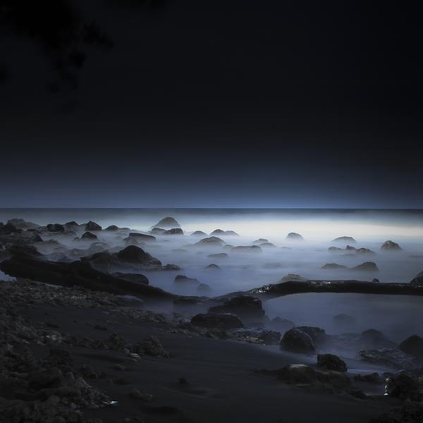 Cocoons' Nest (Version 0) by Tran Trong Long