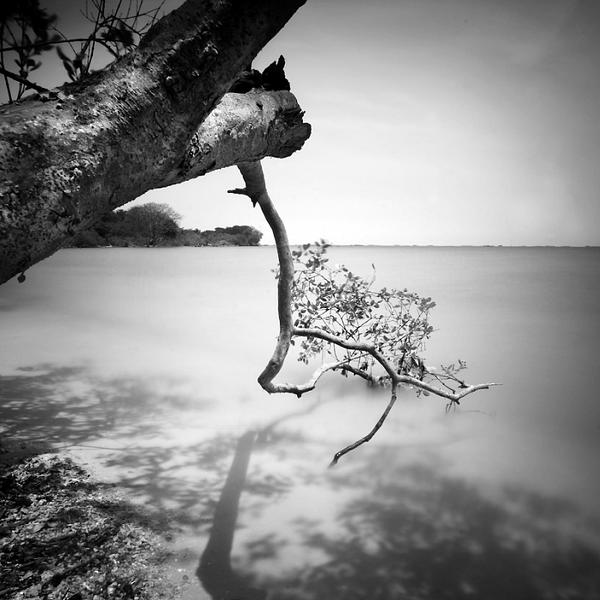 Untitled by Haswa Wedhaswara