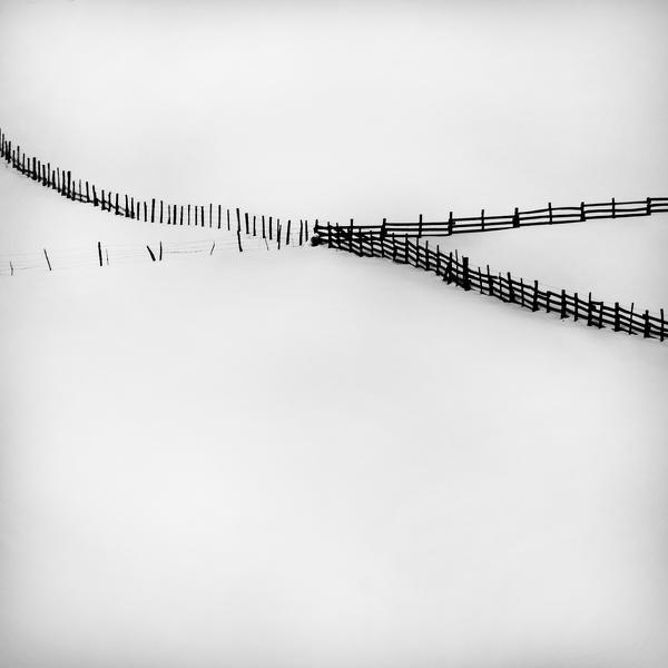 W2 by Dragan Marjanovic
