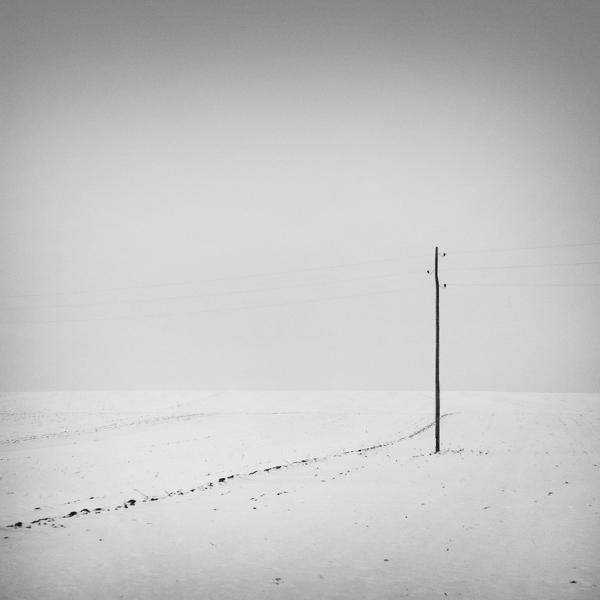 W 3 by Dragan Marjanovic