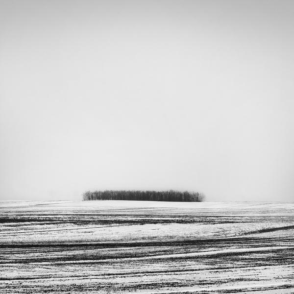 W 4 by Dragan Marjanovic