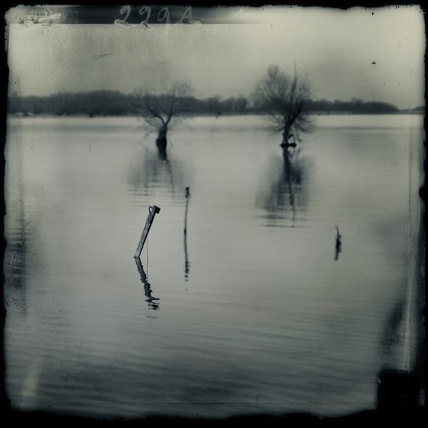 D par Dragan Marjanovic