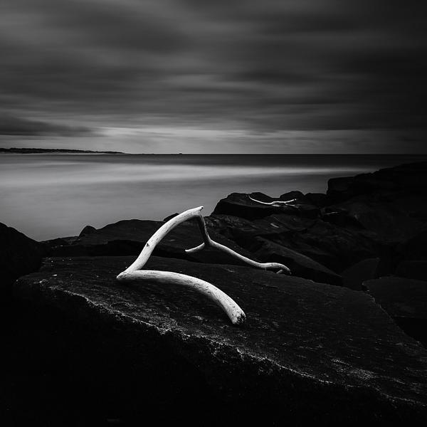 Traces #3 by Jorge Rocha