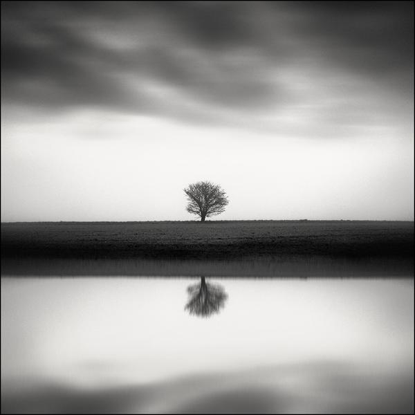 Strocking Clouds by Grains De Sel