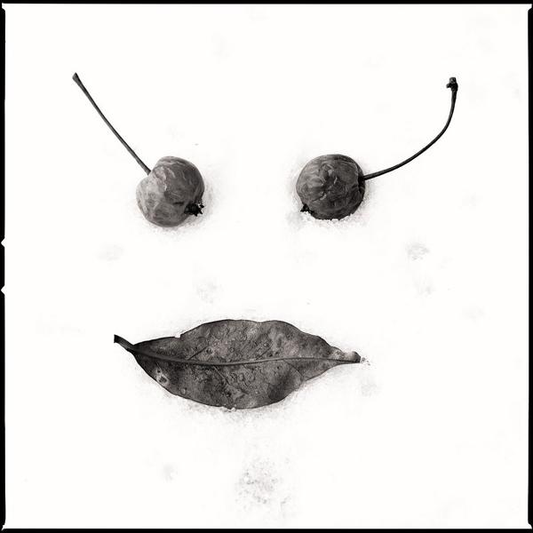 Herbes 6 by Gérard Duceau
