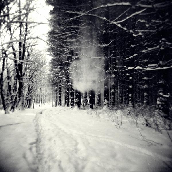 Let It Be Forgotten by Ksenija Spanec