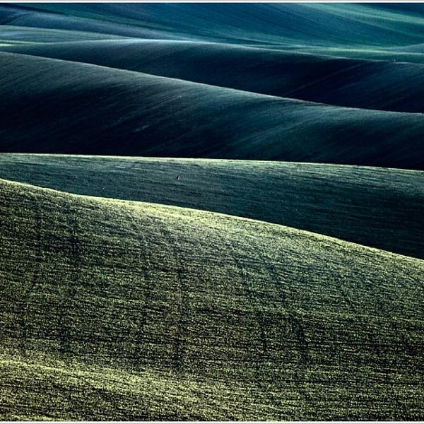 Untitled by Rosario Puglisi