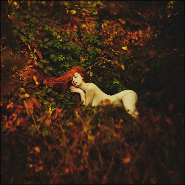 Untitled by Aleksandra Aleks