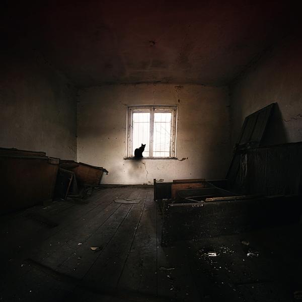 Why Are You Here? by Heaven Man