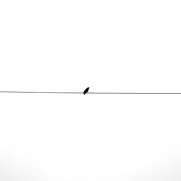 Lonesome by Harry Lieber