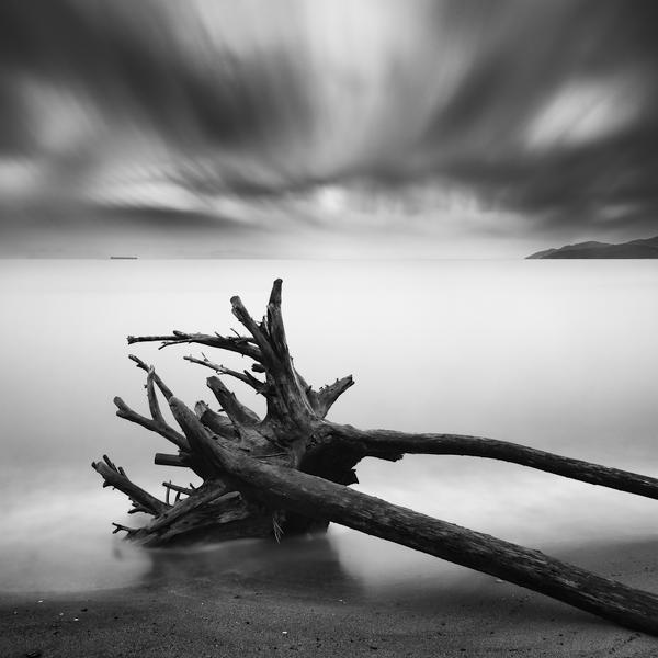 Shards by Grant Murray