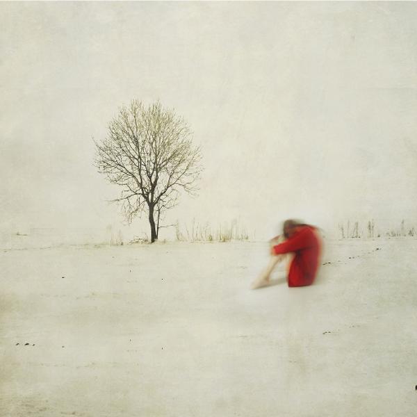 Trace D'hiver by Sarah Louette