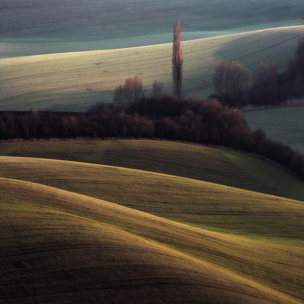 Moravian Fields 4 by Marcin Sacha