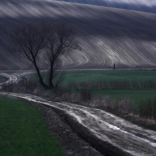 Moravian Fields 5 by Marcin Sacha
