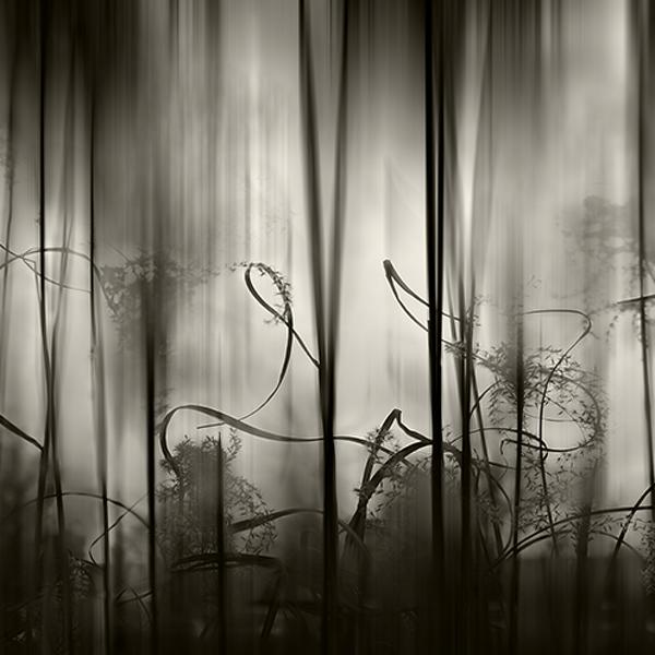 Arabesques by Paul Surdulescu