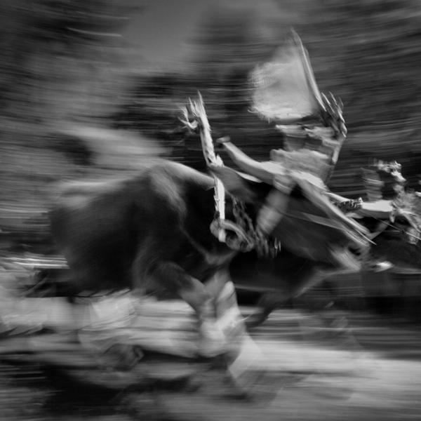 Makepung: Traditional Balinese Buffalo Racing by Indra Widiyanto
